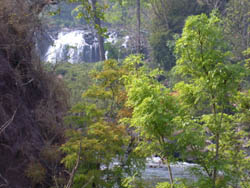 Laos