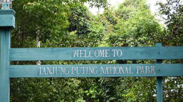 Tanjung Puting